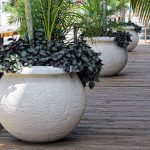 planters and pots